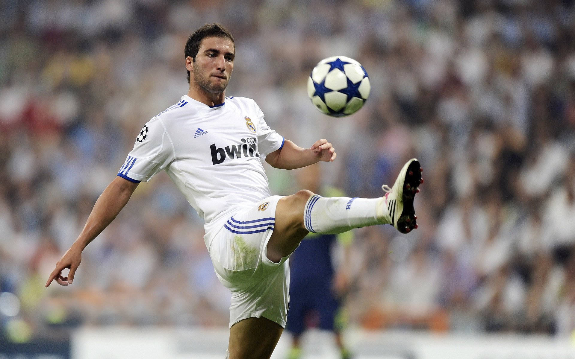 世界拳击职业赛中国站，轻量级新星强势KO对手捍卫金腰带，世界拳击赛视频